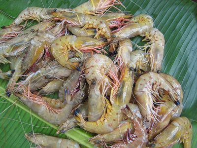 Market Manila - Sea Prawns/Shrimp on the Grill - General